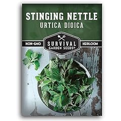 Stinging nettle seed for sale  Delivered anywhere in USA 