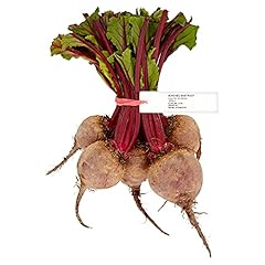 Morrisons bunched beetroot for sale  Delivered anywhere in UK