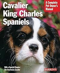 Cavalier king charles for sale  Delivered anywhere in USA 