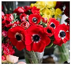 Oliwier bulbs 20x for sale  Delivered anywhere in UK