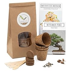 Bonsai kit incl. usato  Spedito ovunque in Italia 