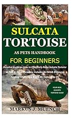 Sulcata tortoise pets d'occasion  Livré partout en Belgiqu