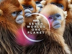 Seven worlds one for sale  Delivered anywhere in UK
