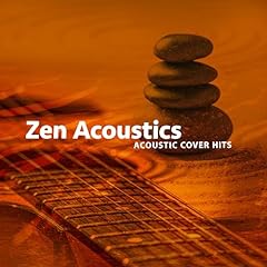 Zen acoustics d'occasion  Livré partout en France