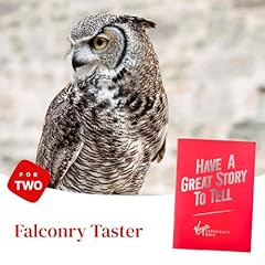 Falconry taster two for sale  Delivered anywhere in UK