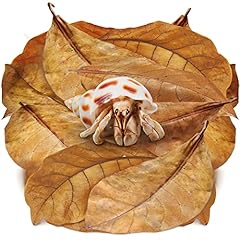 Sungrow pack large for sale  Delivered anywhere in USA 