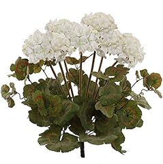 White geranium bush for sale  Delivered anywhere in USA 