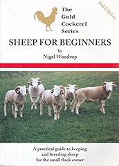 Sheep beginners for sale  Delivered anywhere in UK