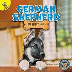 Top puppies german for sale  Delivered anywhere in USA 