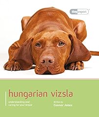 Hungarian vizsla dog for sale  Delivered anywhere in UK