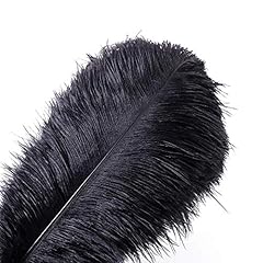 Dcrwvcton 10pcs plumes d'occasion  Livré partout en France