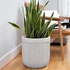 Ilyapa inch large for sale  Delivered anywhere in USA 