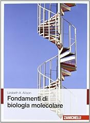 Fondamenti biologia molecolare usato  Spedito ovunque in Italia 