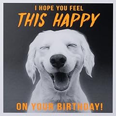 Paperlink funny birthday for sale  Delivered anywhere in UK