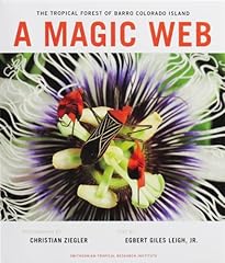 Magic web the usato  Spedito ovunque in Italia 
