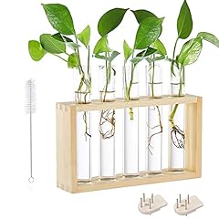 Verre tube vase d'occasion  Livré partout en France