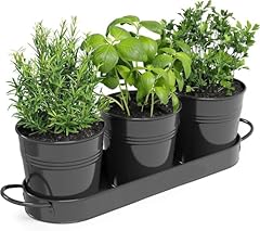 Mofarbe herb pots for sale  Delivered anywhere in UK