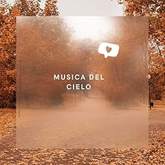 Pista noche pronto usato Pista noche pronto usato  Spedito ovunque in Italia