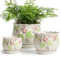 Sthie ceramic plant for sale  Delivered anywhere in USA 