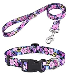 Mihqy dog collar for sale  Delivered anywhere in USA 