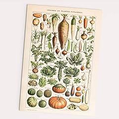 Follygraph légumes plantes d'occasion  Livré partout en France