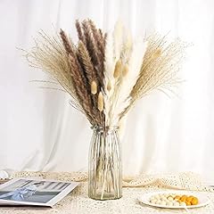 Insanyj natural pampas for sale  Delivered anywhere in UK