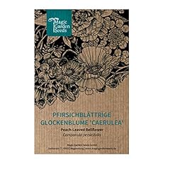 Campanule feuilles pêcher d'occasion  Livré partout en France