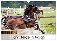 Fahrpferde aktion calvendo gebraucht kaufen  Wird an jeden Ort in Deutschland