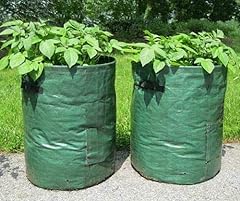 Buystarget potato grow for sale  Delivered anywhere in UK