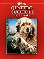 Quattro cuccioli salvare usato  Spedito ovunque in Italia 