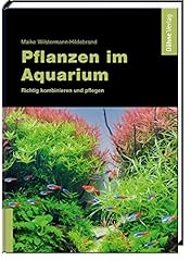 Pflanzen aquarium richtig gebraucht kaufen  Wird an jeden Ort in Deutschland