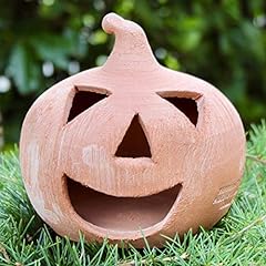 Zucca halloween mignon usato  Spedito ovunque in Italia 