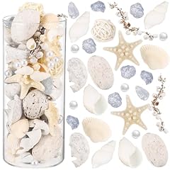 Wenqik summer seashell for sale  Delivered anywhere in USA 