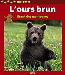 Ours brun géant d'occasion  Livré partout en Belgiqu