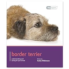 Border terrier dog for sale  Delivered anywhere in UK