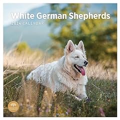 2024 white german for sale  Delivered anywhere in UK