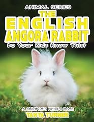 English angora rabbit for sale  Delivered anywhere in USA 