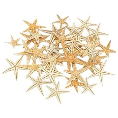 Pcs natural starfish for sale  Delivered anywhere in UK