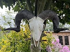 Wall sculptures ram for sale  Delivered anywhere in UK