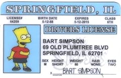 Signs fun bart for sale  Delivered anywhere in USA 