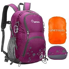 Onetoall zaino escursionismo usato  Spedito ovunque in Italia 