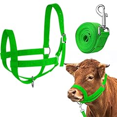 Hillban cow halter for sale  Delivered anywhere in Ireland