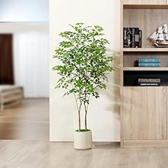 Artificial moringa tree for sale  Delivered anywhere in USA 