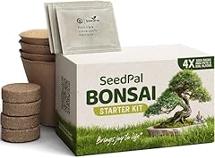 Seedpal bonsai set gebraucht kaufen  Wird an jeden Ort in Deutschland
