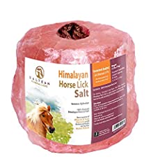Horses lick natural for sale  Delivered anywhere in UK