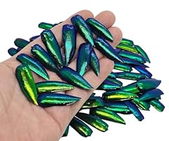 Witnystore jewel beetle for sale  Delivered anywhere in USA 