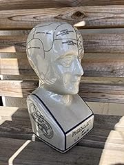 Extra large phrenology for sale  Delivered anywhere in Ireland