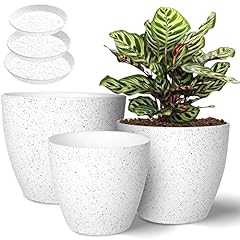 Vanavazon plant pots for sale  Delivered anywhere in USA 