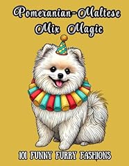 Pomeranian maltese mix for sale  Delivered anywhere in USA 