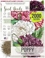 Seed needs antique for sale  Delivered anywhere in USA 